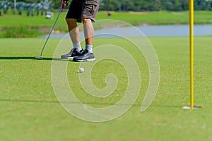 Golfer preparing for a putt Golf ball on the green during golfcourse