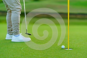 Golfer preparing for a putt Golf ball on the green during golfcourse