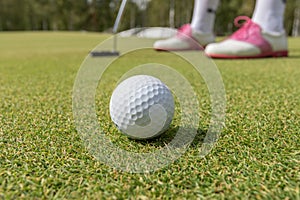 Golfer preparing for a putt on the green during golf course.