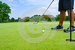 Golfer putt golf ball into hole on the green at golf course