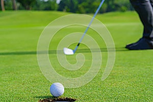 Golfer putt golf ball into hole on the green at golf course