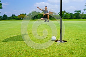 Golfer putt golf ball into hole on the green at golf course