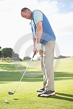 Golfer putting ball on the green