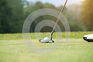 Golfer putting golf ball on the green golf