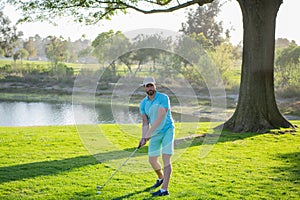 Golfer putting golf ball on the green golf.