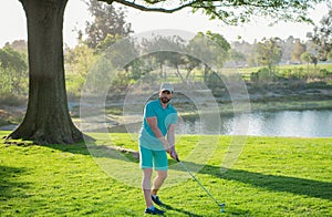 Golfer putting golf ball on the green golf.