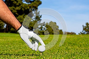 Golfer putting golf ball on the green golf. Golfer man with golf glove.