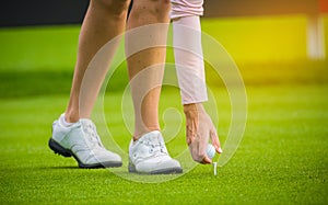 Golfer putting golf ball on green grass for check fairway to hole