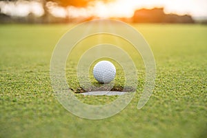 Golfer is putting golf ball on green grass at golf course for game with blur background