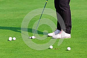 Golfer putting a golf ball in to hole