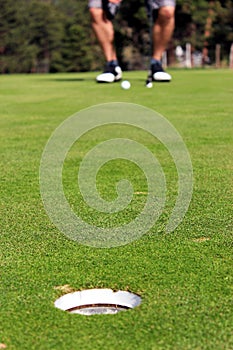 Golfer ready to putt