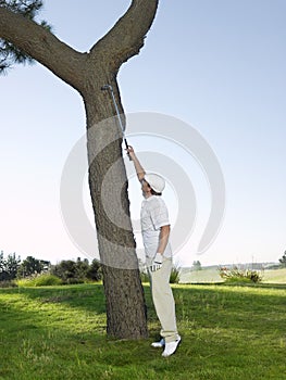 Golfer Retrieving Ball From Tree photo