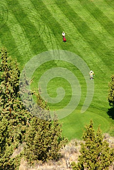 Golfers on bright green fairway