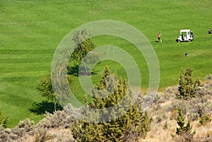 Golfers on bright green fairway