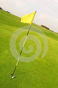 Golfing Flag