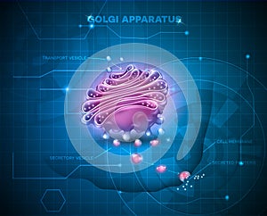 Golgi apparatus abstract technology background