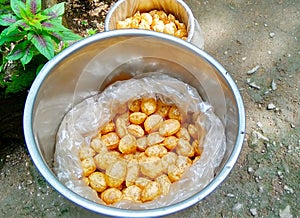 Golgpa a street food in India photo