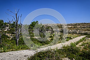 Abandoned road on Goli otok, Croatia photo