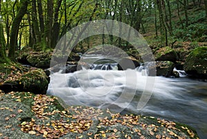 Golitha Falls Bodmin Moor