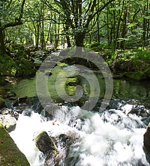 Golitha Falls Bodmin Moor Cornwall England