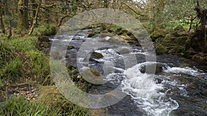 Golitha Falls, Bodmin Moor, Cornwall, UK