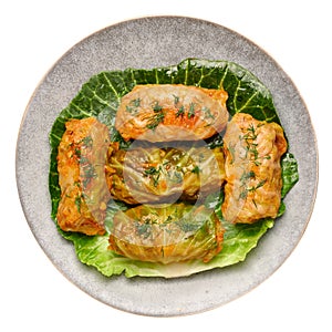 Golubtsi or golabki on gray plate isolated on white. Stuffed cabbage rolls dish of russian, polish, ukrainian cuisine