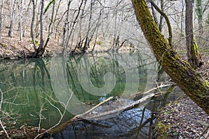 Golyama Kamchia River