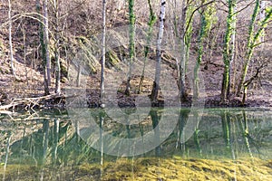 Golyama Kamchia river in winter
