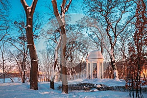 Gomel, Belarus. City Park In Winter Night. Gazebo In Park. Garden Pergola In Snow