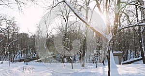 Gomel, Belarus. Sun Sunshine Thgrough Frozen Woods In Snowy City Park In Sunny Winter Day