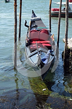 Gondola awaiting tourists for a ride at Grand canal in Venice