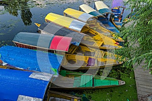 A GONDOLA THROUGH THE INDIAN PARADISE