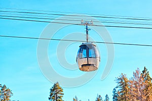 Gondola Lift High above the Pines