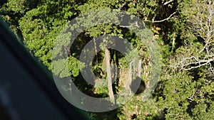 Gondola service that arrives in Kuranda and passes over pristine tropical jungles north of Cairns. Australia. Shot on