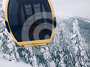 Gondola of ski lift in front of snow covered fir trees