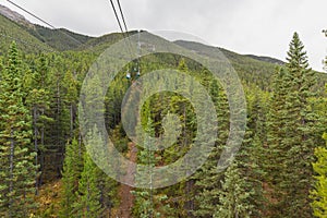 Gondola view of green pine forest route to Sulphur mountain in summer at Banff national park of Alberta, Canada