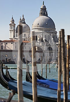 Gondolas float in front of the Basilica di Santa Maria della Salute in Venice