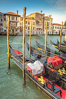 Gondolas in Grand Canal stake pier at golden sunset, Venice, Italy