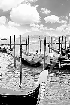 Gondolas near Doge's Palace, Venice