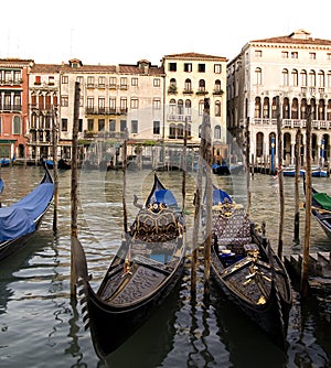 Gondolas parked in Venice, Italy,