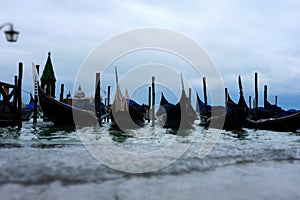 Gondolas at the pier at the San Marko Square