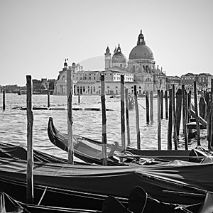 Gondolas and Santa Maria della Salute church in Venice