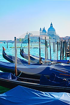 Gondolas and Santa Maria della Salute church in Venice