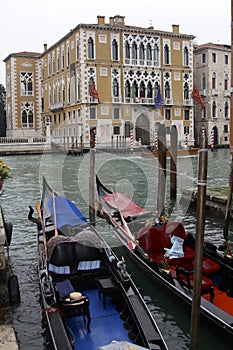 Gondolas of Venice