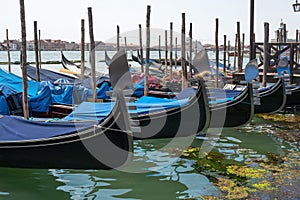 Gondolas in Venice. The gondolas are moored at the mooring posts. Venice, Italy.