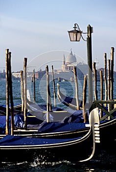 Gondolas- Venice, Italy photo