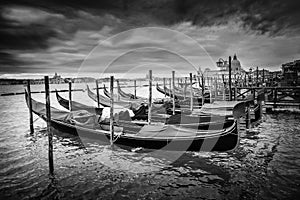 Gondolas with view of Santa Maria della Salute at sunset bw