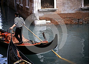 Gondolier