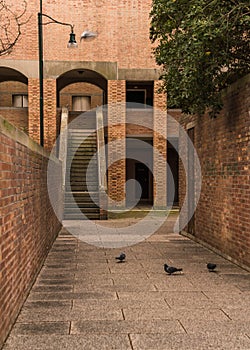 Gondolier rowing gondola with tourist on a canal in Venice, ItalyArchitectural detail of apartment building in brutalist style in