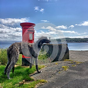 Gone to post a letter